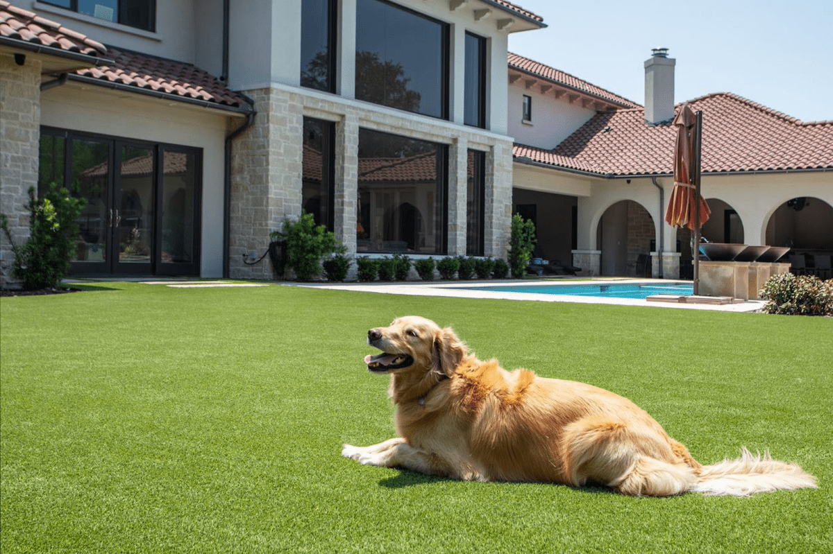 Best indoor grass for dogs hotsell